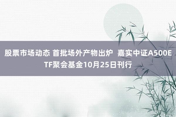 股票市场动态 首批场外产物出炉  嘉实中证A500ETF聚会基金10月25日刊行