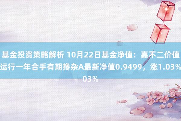 基金投资策略解析 10月22日基金净值：嘉不二价值运行一年合手有期搀杂A最新净值0.9499，涨1.03%