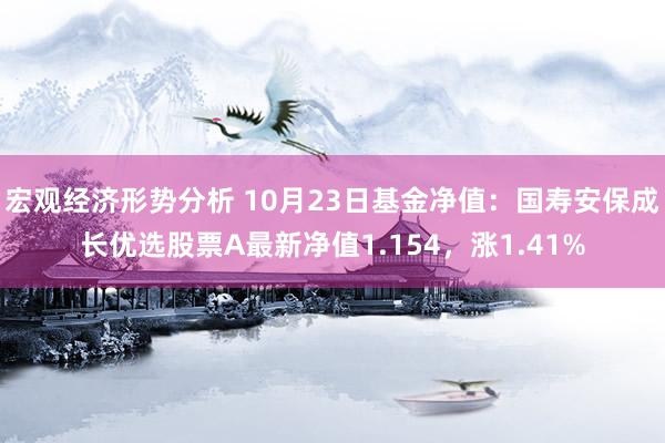 宏观经济形势分析 10月23日基金净值：国寿安保成长优选股票A最新净值1.154，涨1.41%