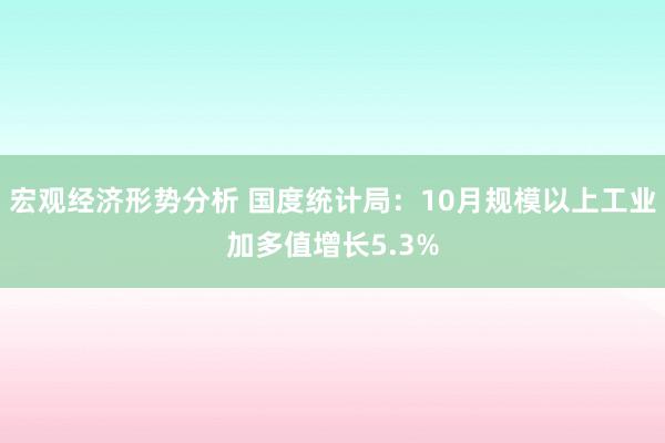 宏观经济形势分析 国度统计局：10月规模以上工业加多值增长5.3%