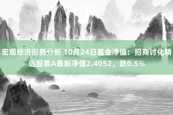 宏观经济形势分析 10月24日基金净值：招商讨化精选股票A最新净值2.4052，跌0.5%