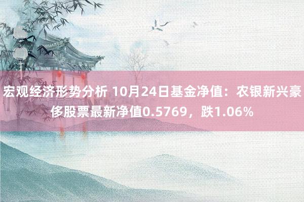 宏观经济形势分析 10月24日基金净值：农银新兴豪侈股票最新净值0.5769，跌1.06%