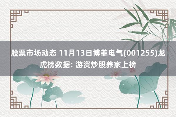 股票市场动态 11月13日博菲电气(001255)龙虎榜数据: 游资炒股养家上榜