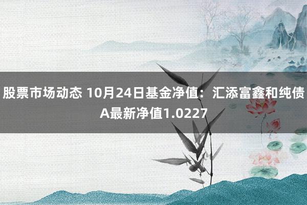 股票市场动态 10月24日基金净值：汇添富鑫和纯债A最新净值1.0227