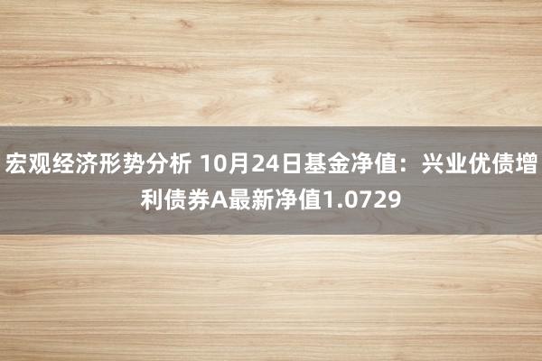 宏观经济形势分析 10月24日基金净值：兴业优债增利债券A最新净值1.0729