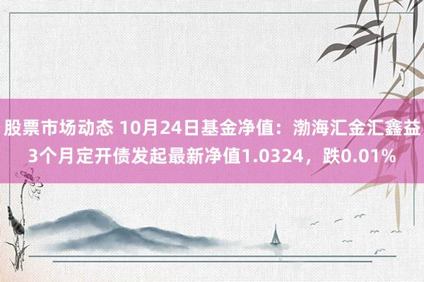 股票市场动态 10月24日基金净值：渤海汇金汇鑫益3个月定开债发起最新净值1.0324，跌0.01%