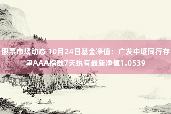 股票市场动态 10月24日基金净值：广发中证同行存单AAA指数7天执有最新净值1.0539