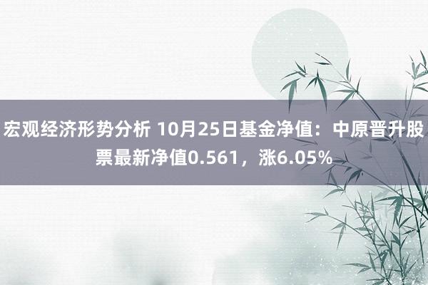 宏观经济形势分析 10月25日基金净值：中原晋升股票最新净值0.561，涨6.05%