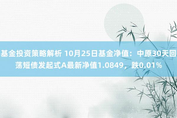 基金投资策略解析 10月25日基金净值：中原30天回荡短债发起式A最新净值1.0849，跌0.01%