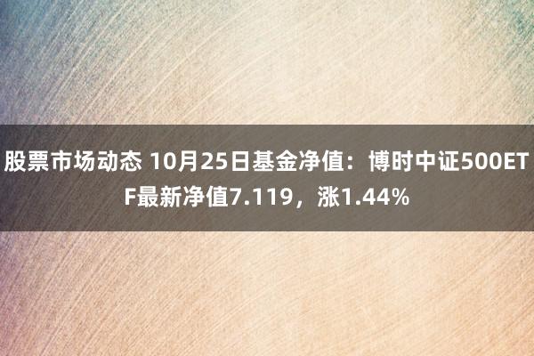 股票市场动态 10月25日基金净值：博时中证500ETF最新净值7.119，涨1.44%