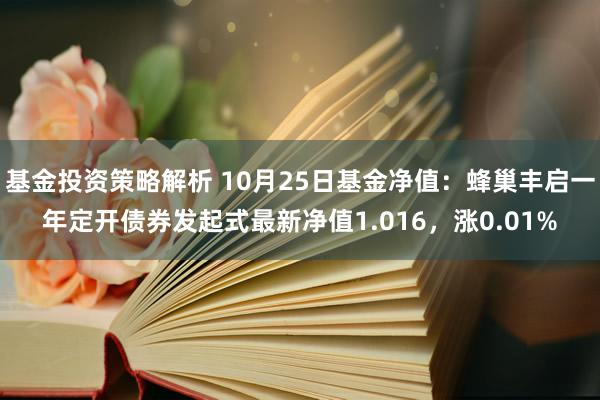 基金投资策略解析 10月25日基金净值：蜂巢丰启一年定开债券发起式最新净值1.016，涨0.01%