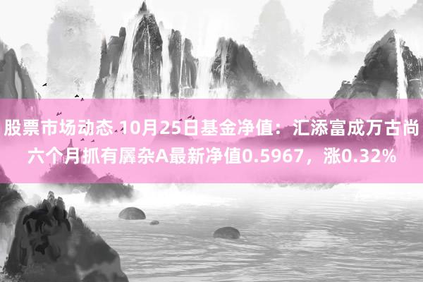 股票市场动态 10月25日基金净值：汇添富成万古尚六个月抓有羼杂A最新净值0.5967，涨0.32%