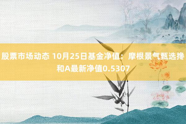 股票市场动态 10月25日基金净值：摩根景气甄选搀和A最新净值0.5307