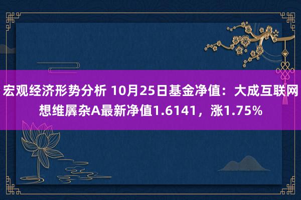 宏观经济形势分析 10月25日基金净值：大成互联网想维羼杂A最新净值1.6141，涨1.75%