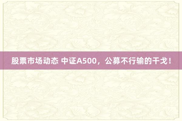 股票市场动态 中证A500，公募不行输的干戈！