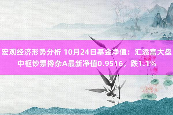 宏观经济形势分析 10月24日基金净值：汇添富大盘中枢钞票搀杂A最新净值0.9516，跌1.1%