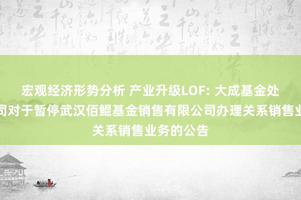 宏观经济形势分析 产业升级LOF: 大成基金处分有限公司对于暂停武汉佰鲲基金销售有限公司办理关系销售业务的公告