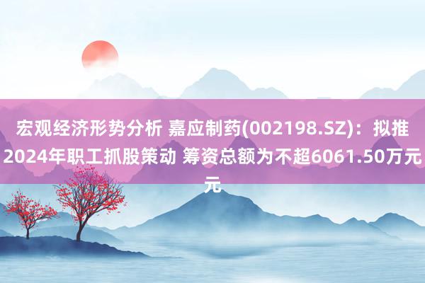 宏观经济形势分析 嘉应制药(002198.SZ)：拟推2024年职工抓股策动 筹资总额为不超6061.50万元