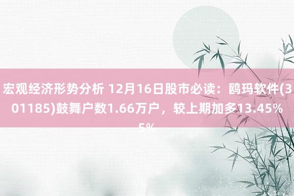 宏观经济形势分析 12月16日股市必读：鸥玛软件(301185)鼓舞户数1.66万户，较上期加多13.45%