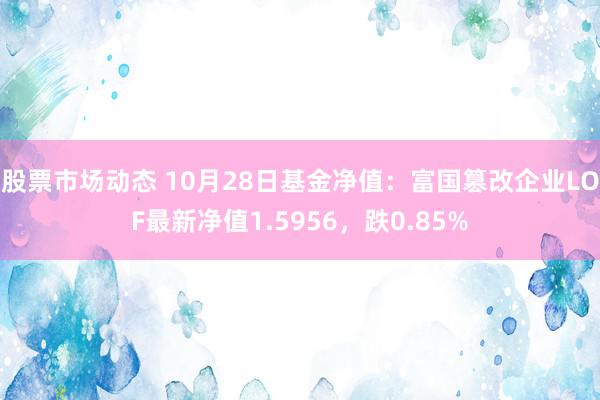 股票市场动态 10月28日基金净值：富国篡改企业LOF最新净值1.5956，跌0.85%