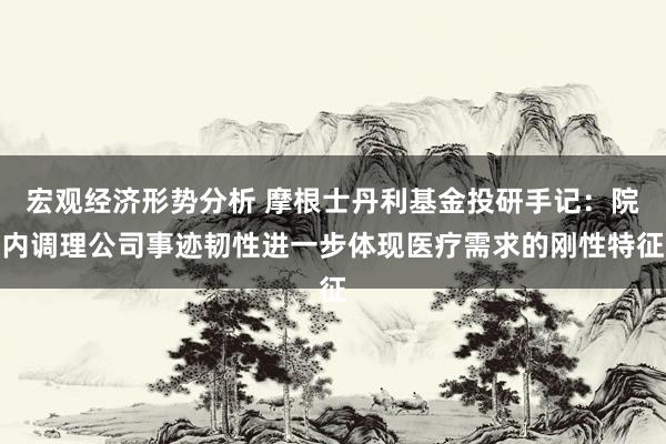 宏观经济形势分析 摩根士丹利基金投研手记：院内调理公司事迹韧性进一步体现医疗需求的刚性特征