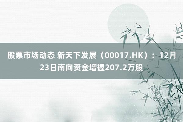 股票市场动态 新天下发展（00017.HK）：12月23日南向资金增握207.2万股