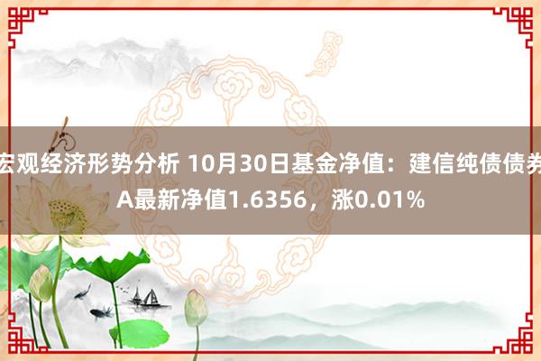 宏观经济形势分析 10月30日基金净值：建信纯债债券A最新净值1.6356，涨0.01%