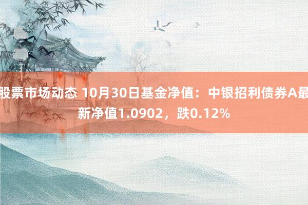 股票市场动态 10月30日基金净值：中银招利债券A最新净值1.0902，跌0.12%