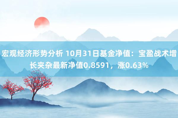 宏观经济形势分析 10月31日基金净值：宝盈战术增长夹杂最新净值0.8591，涨0.63%