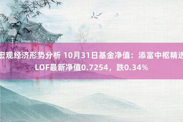 宏观经济形势分析 10月31日基金净值：添富中枢精选LOF最新净值0.7254，跌0.34%