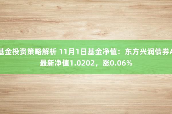 基金投资策略解析 11月1日基金净值：东方兴润债券A最新净值1.0202，涨0.06%