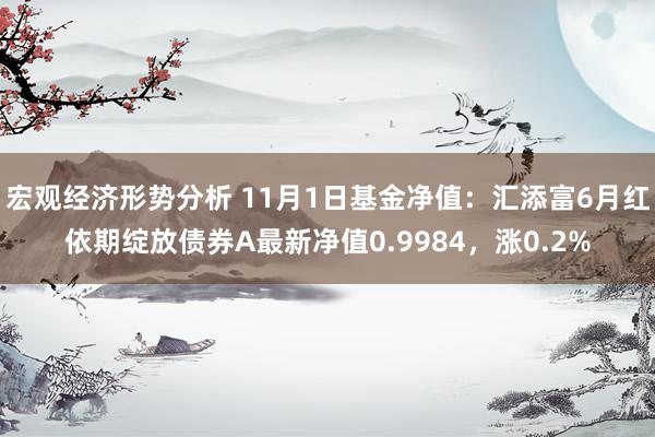 宏观经济形势分析 11月1日基金净值：汇添富6月红依期绽放债券A最新净值0.9984，涨0.2%