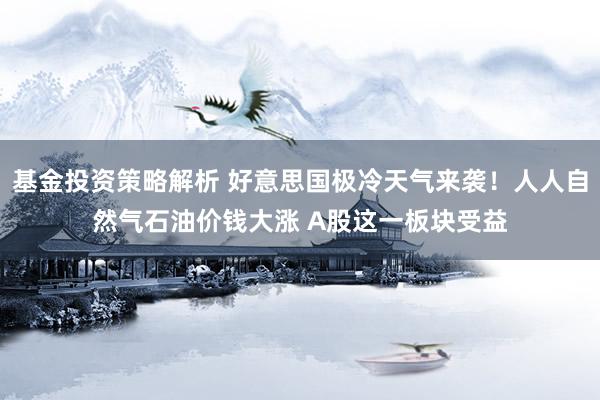 基金投资策略解析 好意思国极冷天气来袭！人人自然气石油价钱大涨 A股这一板块受益