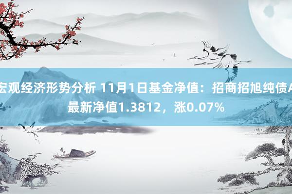 宏观经济形势分析 11月1日基金净值：招商招旭纯债A最新净值1.3812，涨0.07%