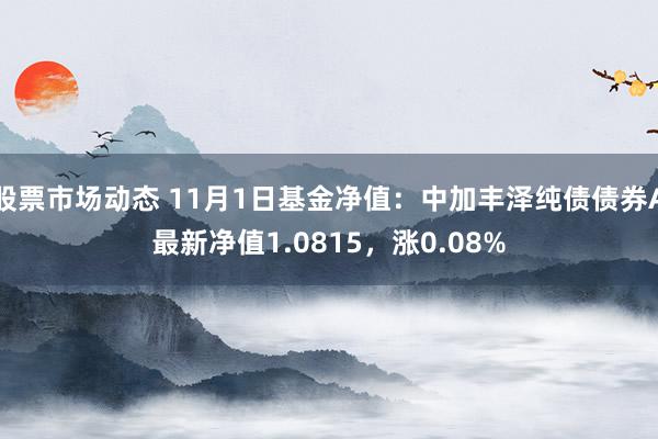 股票市场动态 11月1日基金净值：中加丰泽纯债债券A最新净值1.0815，涨0.08%