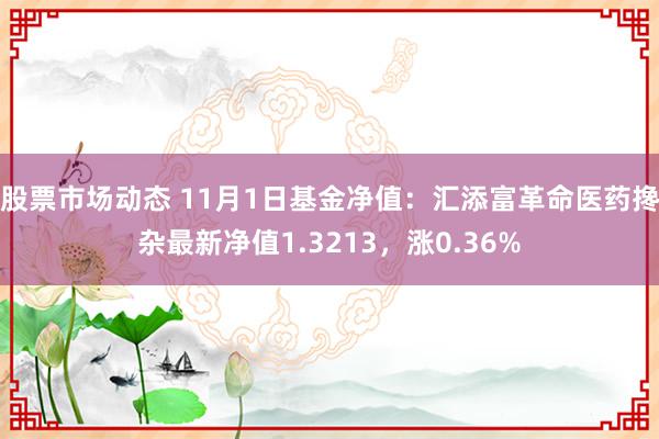 股票市场动态 11月1日基金净值：汇添富革命医药搀杂最新净值1.3213，涨0.36%