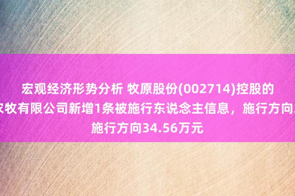 宏观经济形势分析 牧原股份(002714)控股的馆陶牧原农牧有限公司新增1条被施行东说念主信息，施行方向34.56万元