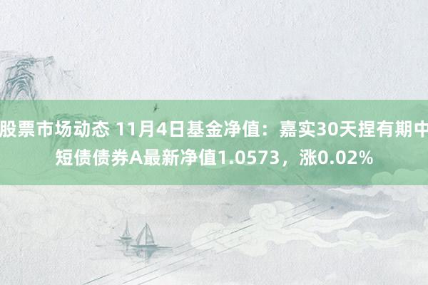 股票市场动态 11月4日基金净值：嘉实30天捏有期中短债债券A最新净值1.0573，涨0.02%