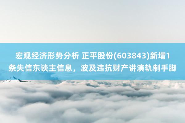 宏观经济形势分析 正平股份(603843)新增1条失信东谈主信息，波及违抗财产讲演轨制手脚