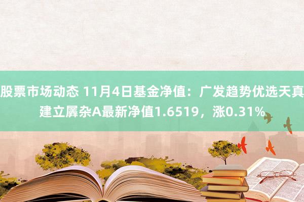 股票市场动态 11月4日基金净值：广发趋势优选天真建立羼杂A最新净值1.6519，涨0.31%