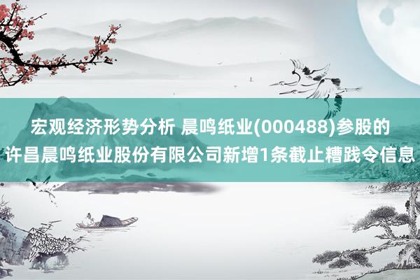 宏观经济形势分析 晨鸣纸业(000488)参股的许昌晨鸣纸业股份有限公司新增1条截止糟践令信息