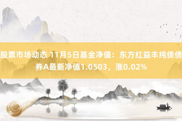 股票市场动态 11月5日基金净值：东方红益丰纯债债券A最新净值1.0503，涨0.02%