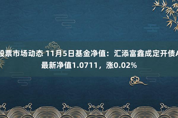 股票市场动态 11月5日基金净值：汇添富鑫成定开债A最新净值1.0711，涨0.02%