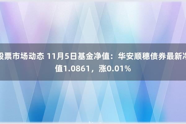 股票市场动态 11月5日基金净值：华安顺穗债券最新净值1.0861，涨0.01%