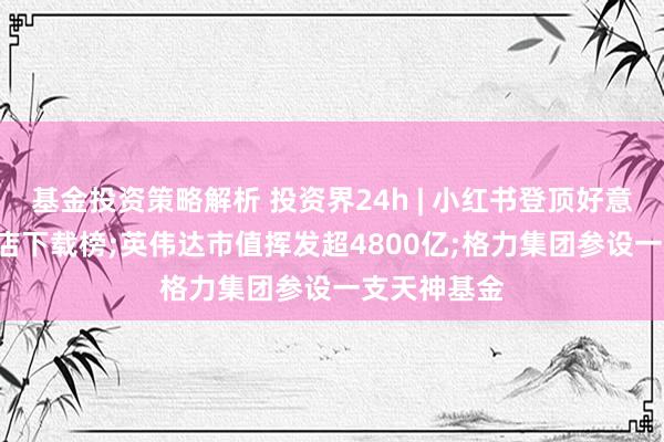 基金投资策略解析 投资界24h | 小红书登顶好意思区IOS商店下载榜;英伟达市值挥发超4800亿;格力集团参设一支天神基金