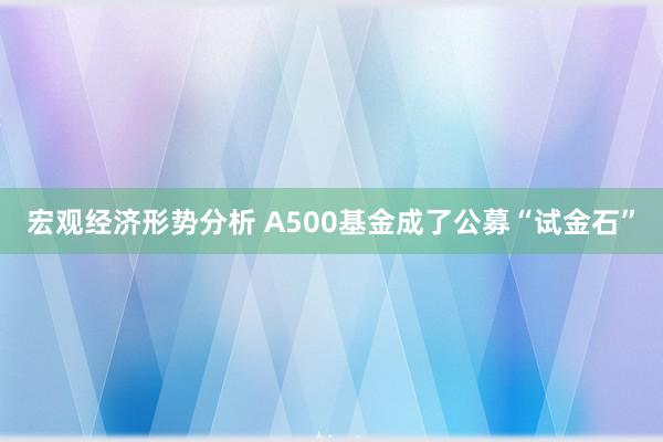 宏观经济形势分析 A500基金成了公募“试金石”