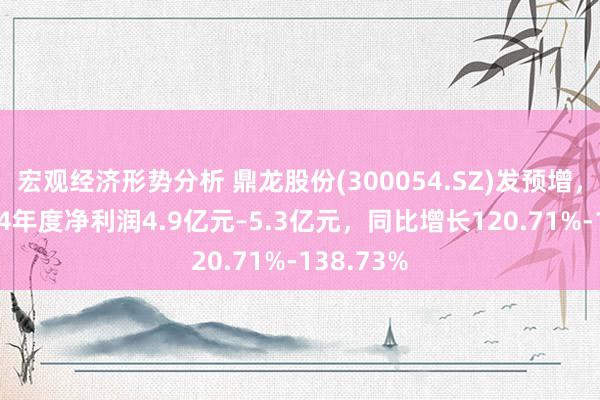 宏观经济形势分析 鼎龙股份(300054.SZ)发预增，预测2024年度净利润4.9亿元–5.3亿元，同比增长120.71%-138.73%