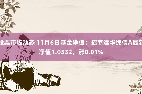 股票市场动态 11月6日基金净值：招商添华纯债A最新净值1.0332，涨0.01%