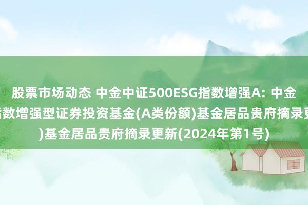 股票市场动态 中金中证500ESG指数增强A: 中金中证500ESG基准指数增强型证券投资基金(A类份额)基金居品贵府摘录更新(2024年第1号)