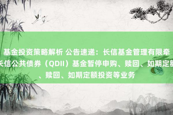 基金投资策略解析 公告速递：长信基金管理有限牵累公司对于长信公共债券（QDII）基金暂停申购、赎回、如期定额投资等业务